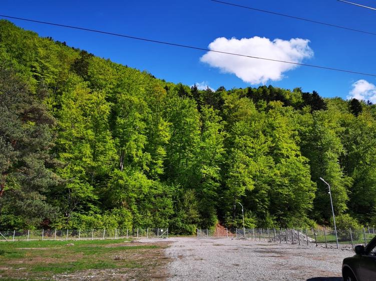 Teren rezidential Bunloc zona de case - 7