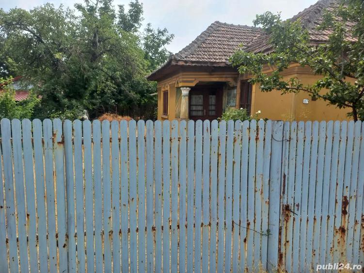 Salceanu Valentin - 1