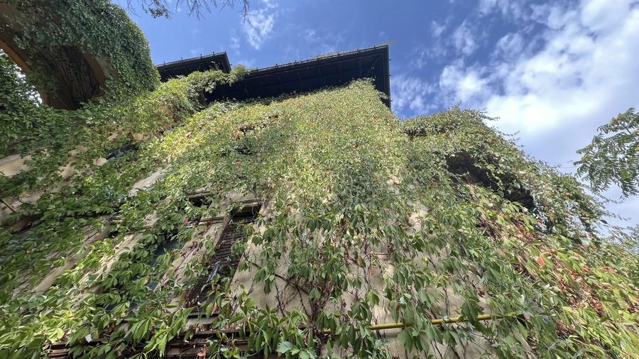 VILA INDIVIDUALA CISMIGIU | INTR. TEMISANA - 13