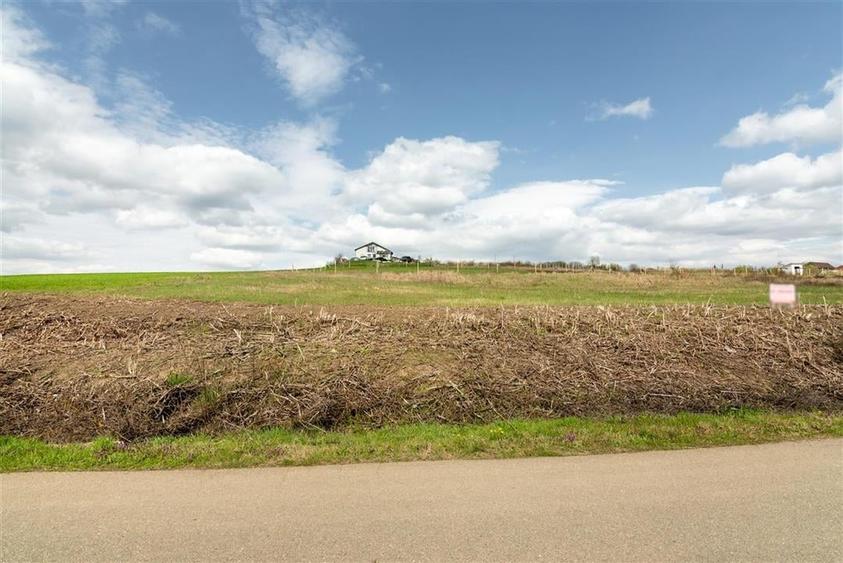 Teren intravilan Cetariu - 3