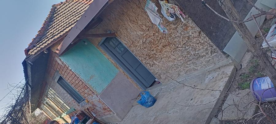 Lilieci Ialomita - 7