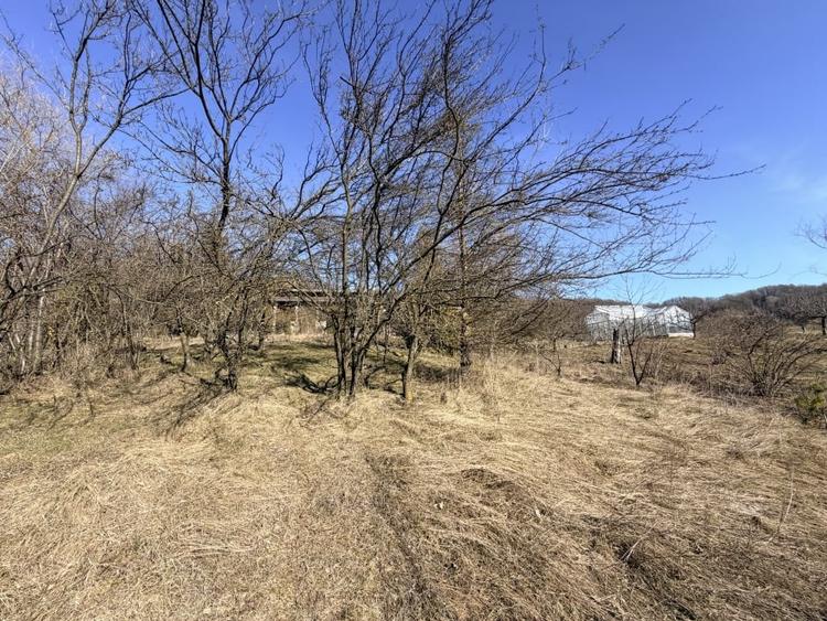 Refugiu Exclusivist Prahova Casa cu 5.2 ha, Panoramă Pârâu și Potențial Turistic - 42