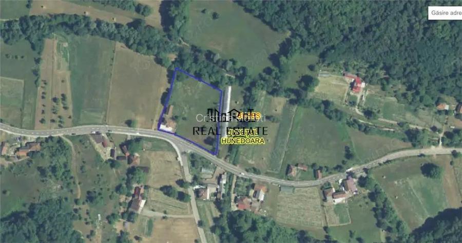 Proprietate in Apuseni - fosta pizzerie, ideala pentru afacere sau locuinta