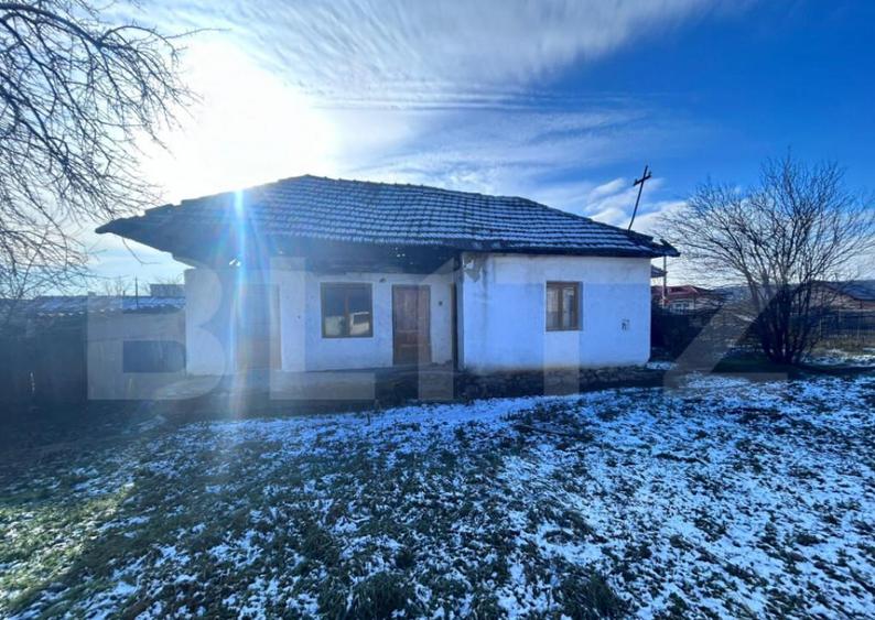 Teren Bd Ecaterina Teodoroiu 1260mp - 2