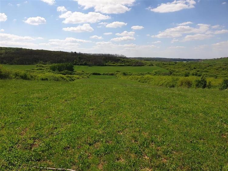 Teren extravilan Uileacu de Munte. - 1