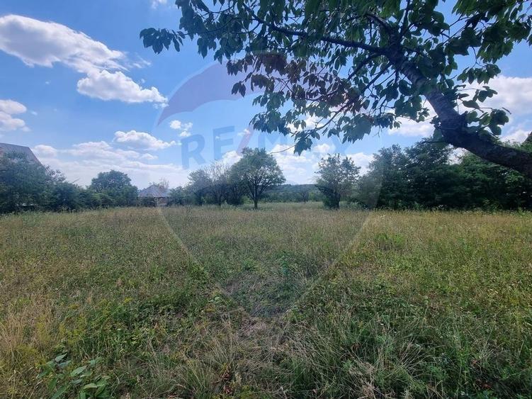 Teren intravilan 11.500 mp - Strada Cismari Valenii de Munte - 1