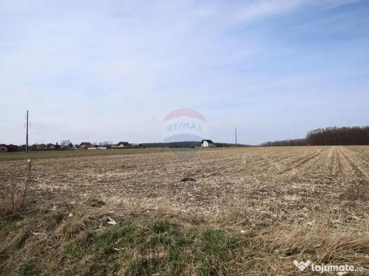 Teren 9,740mp Suceava / Strada Principala - 5