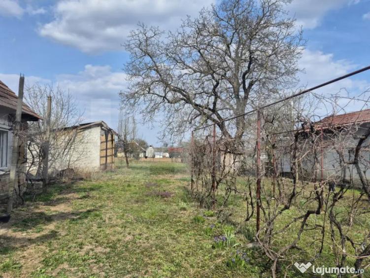 Teren intravilan de vanzare, 1399 mp, in Micula - 6