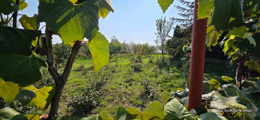 Casa caramida in Costesti - 4