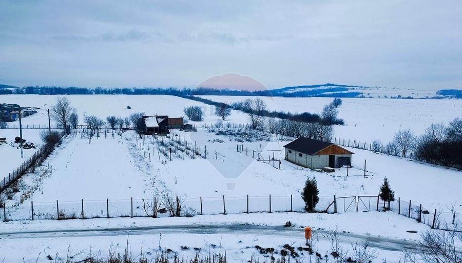 Teren intravilan 9.574 mp în Săliște, poziție strategică, ideal invest - 1