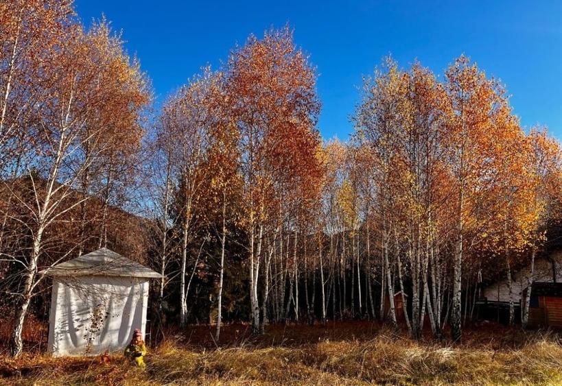 Teren de vânzare, 1433mp Rasnov Glajerie - 9