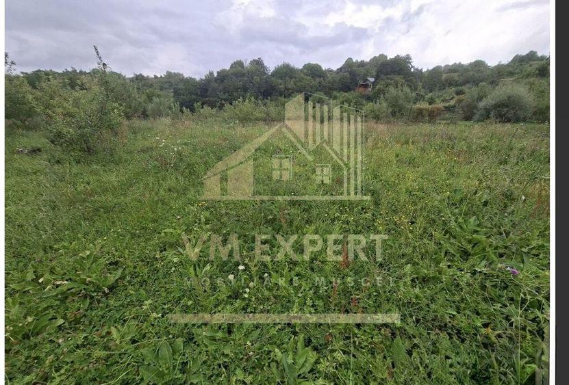 TEREN 20.621 MP CAMPULUNG - 2