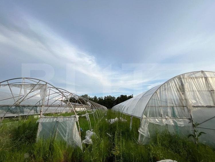 Teren partial intravilan 23.500 mp, apa, curent si supraveghere video, Bucovat - 9