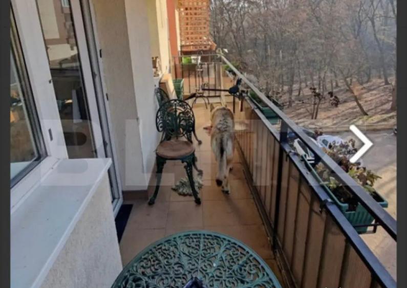 Apartament 3 camere, pet-friendly, parcare, zona Manastur - 2