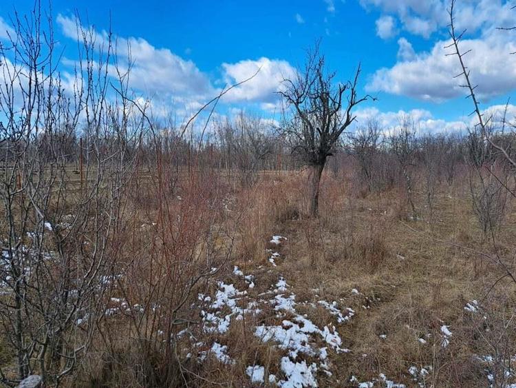 Gospodarie taraneasca in Cuca, Arges - ZERO comision la cumparator! - 15