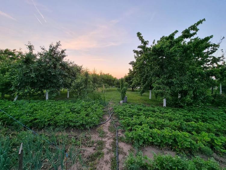 Casa sat Masca 1400 mp - 8