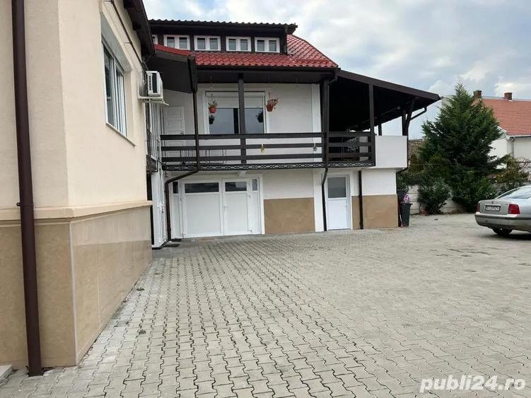 Dau in chirie spatiu diferite activitati - 1