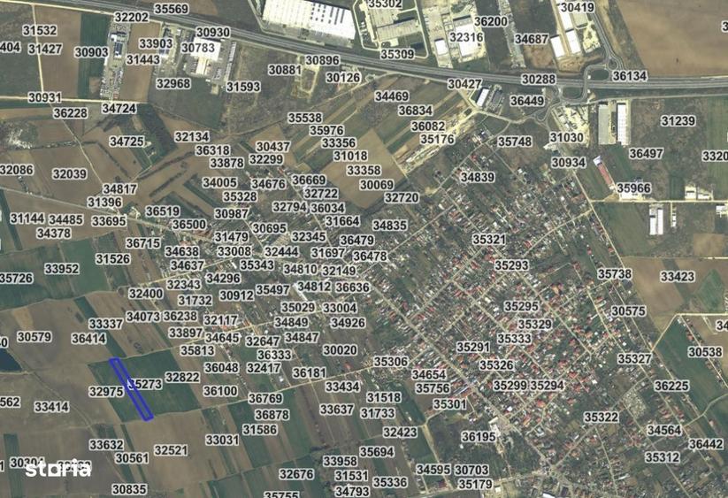 2 loturi de teren extravilan Bolintin-Deal 7800 mp si 2500 mp Pret neg - 1