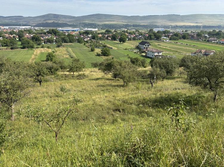 Vand teren extravilan 1400 mp com Floresti / Luna de Sus - 3