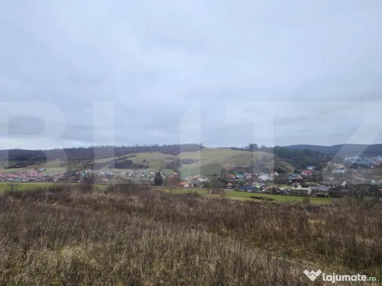 Teren intravilan 4756 mp de vanzare in Livezeni - 1