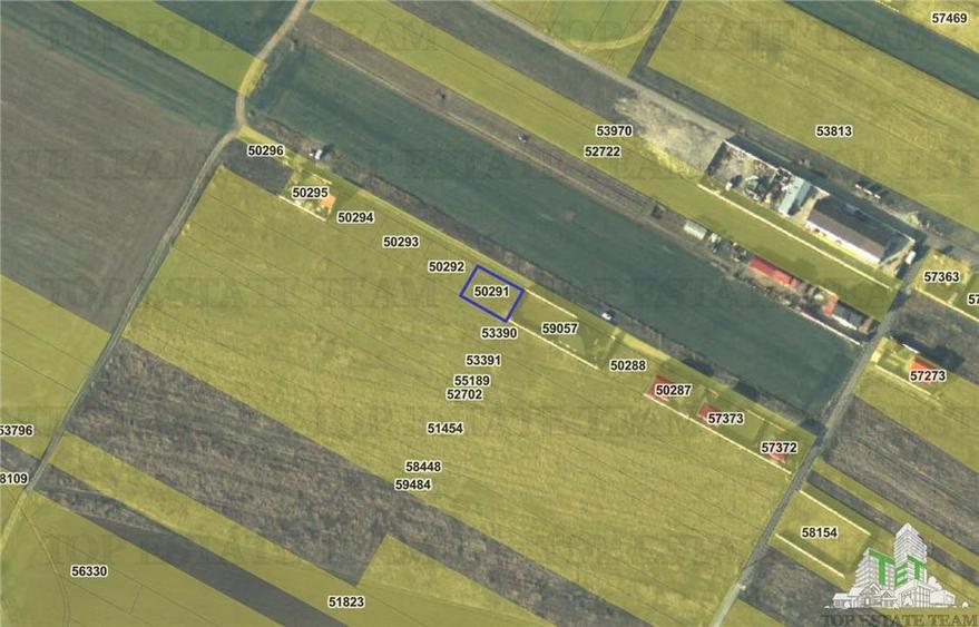 Teren 428mp ideal pentru casa in Dragomiresti-Vale - 3