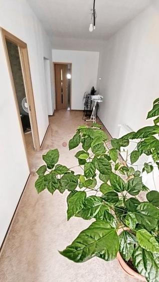 Aproape de Zona Comerciala - 6