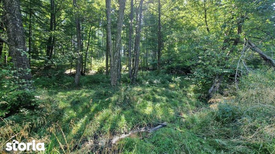 Teren langa Brasov - 3