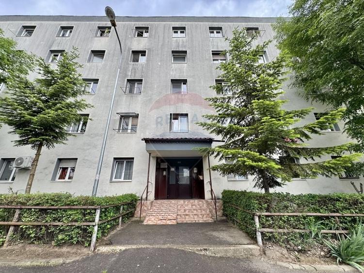 Comision 0% De Inchiriat camera camin | str. Albastrelelor | - 12