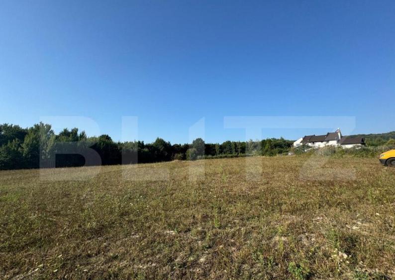 Teren intravilan, 3000mp, com. Darmanesti - 4