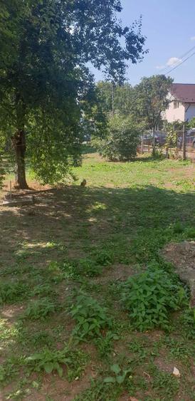 Casa de vanzare in com.Banesti. - 1