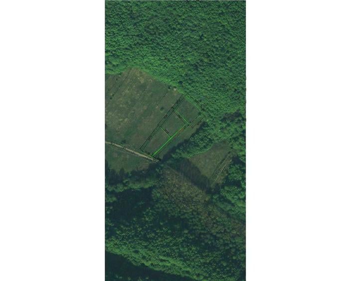 Teren de 6000 mp inconjurat de padure Stefanesti Arges - 1