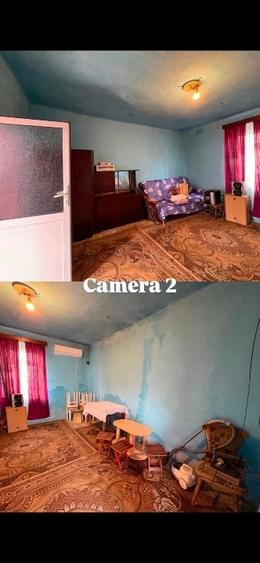 Casă + teren 2319 mp în centrul satului Sacoșu Mare, aproape de Lugoj - 4