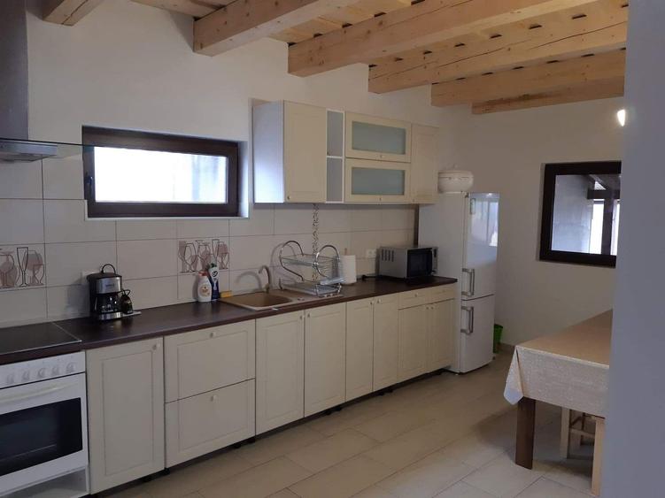 Cabana de inchiriat zona Belis - 8