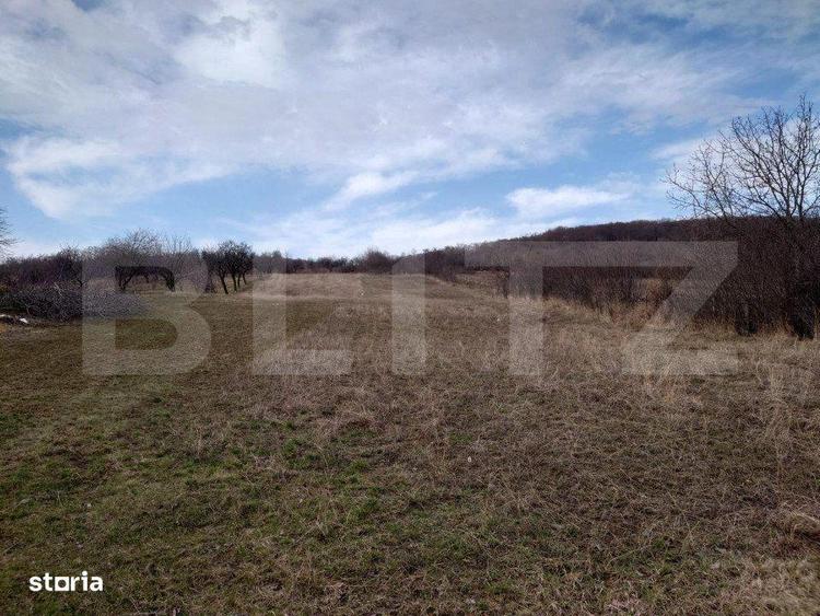Teren intravilan 3712 mp + 2600 mp extravilan in Dobrovat - 5