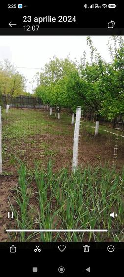 Casă de vînzare  - 2