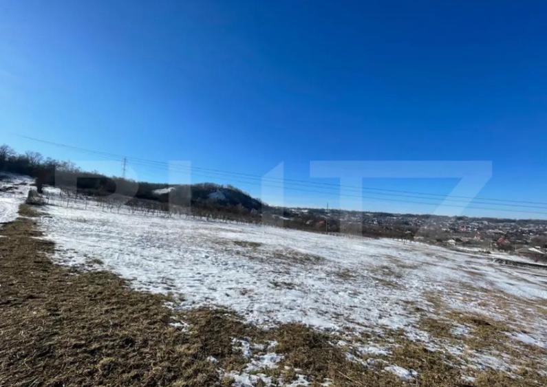 Teren extravilan, 9.600 mp, intrare Rada?eni - 1