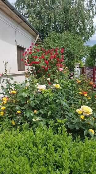 Imobil situat in zona ultracentrala, N. Titulescu 3, Focsani - 1