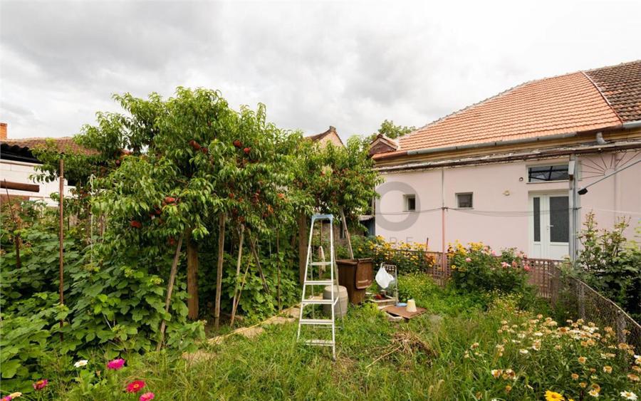 RECO Casa de zona Horia - 14