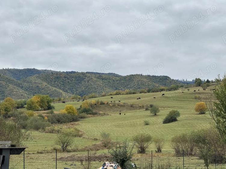 Teren de 2400 mp, în Orlat