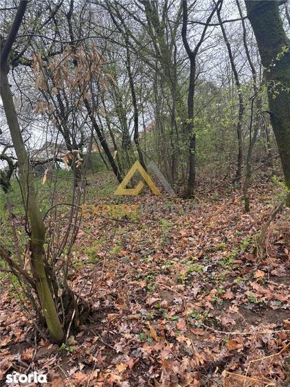 Teren intravilan in spate la Castel Transilvania 1.000mp - 3