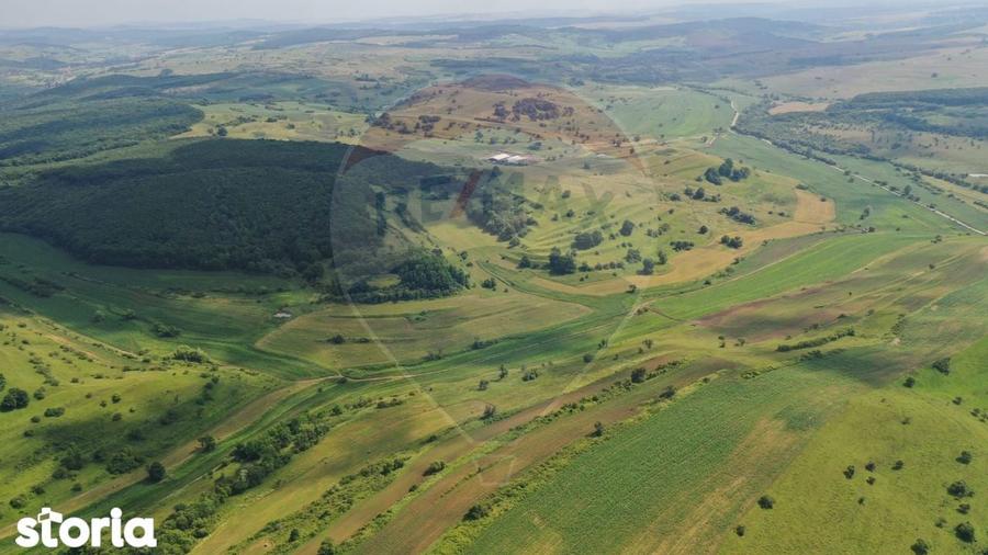 INVESTITIE REZILIENTA 300 HA Teren de vanzare in Zlagna Sibiu - 1