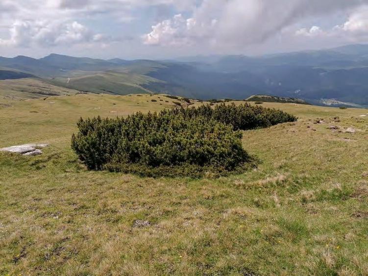 terenuri in Bucegi, Zona Alpina Inalta, pentru dezvoltare cabane, vile turistice - 4