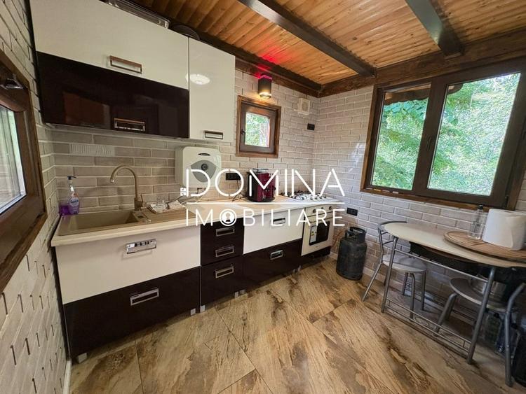 *Domeniu* cu potential turistic - casa de vis, livada si vie - Bumbesti-Jiu - 7