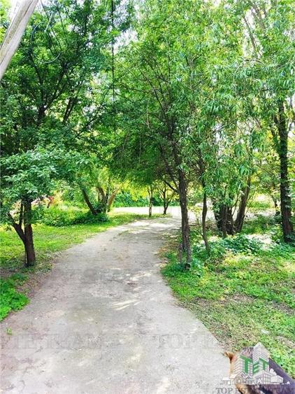 Vila 7 camere- 300 mpu+ curte 2000 mp- Giulesti- Sector 6 - 5