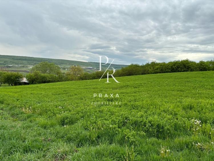 Teren extravilan, 2165 mp, priveliste, zona Dealul Fanatelor! - 3