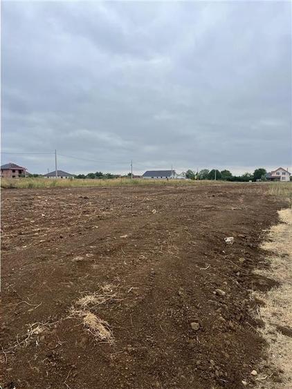 RECO Imobiliare teren Sanmartin - 3