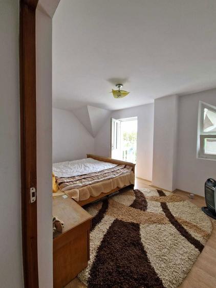 Vila P+1, caramida + a doua casa de BCA, teren 8000mp - 7