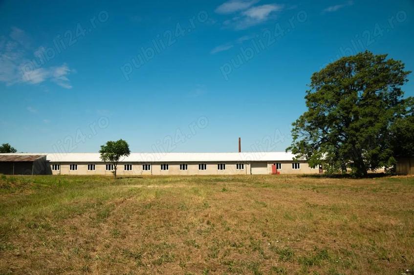 Parc industrial de vanzare - 6