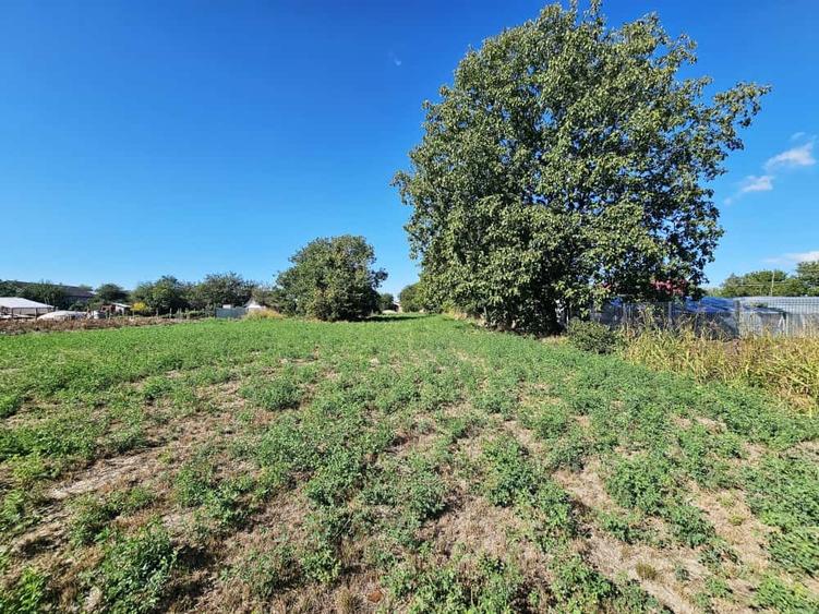 Teren intravilan 1.585 mp, cu utilități la hotar –Gherghița–Ungureni - 4