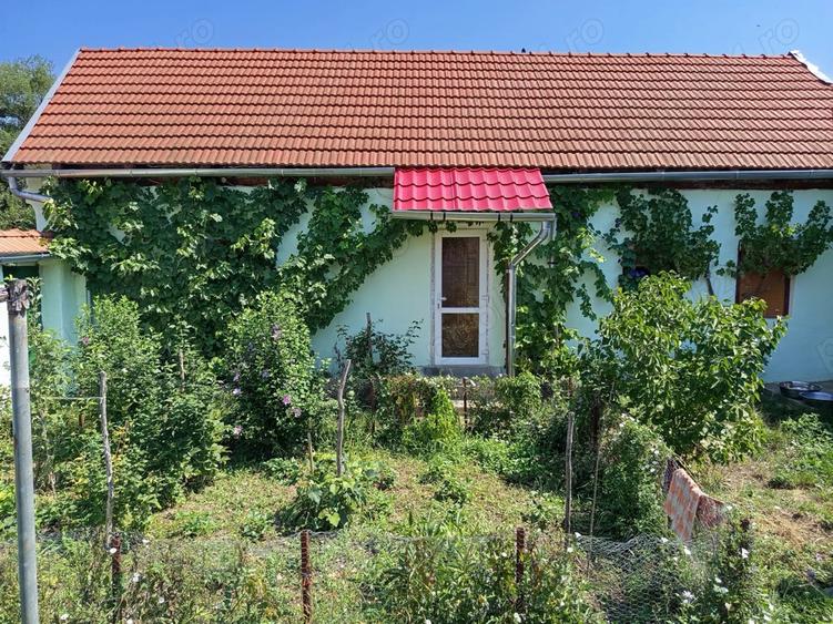 Casuta in zona linistita - 3